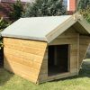 Dog Kennel